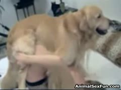 Big brown dog animal sex fun with hot girl